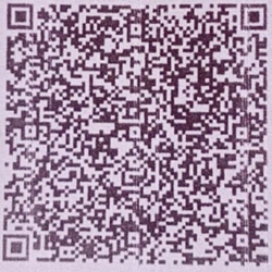UPI QR